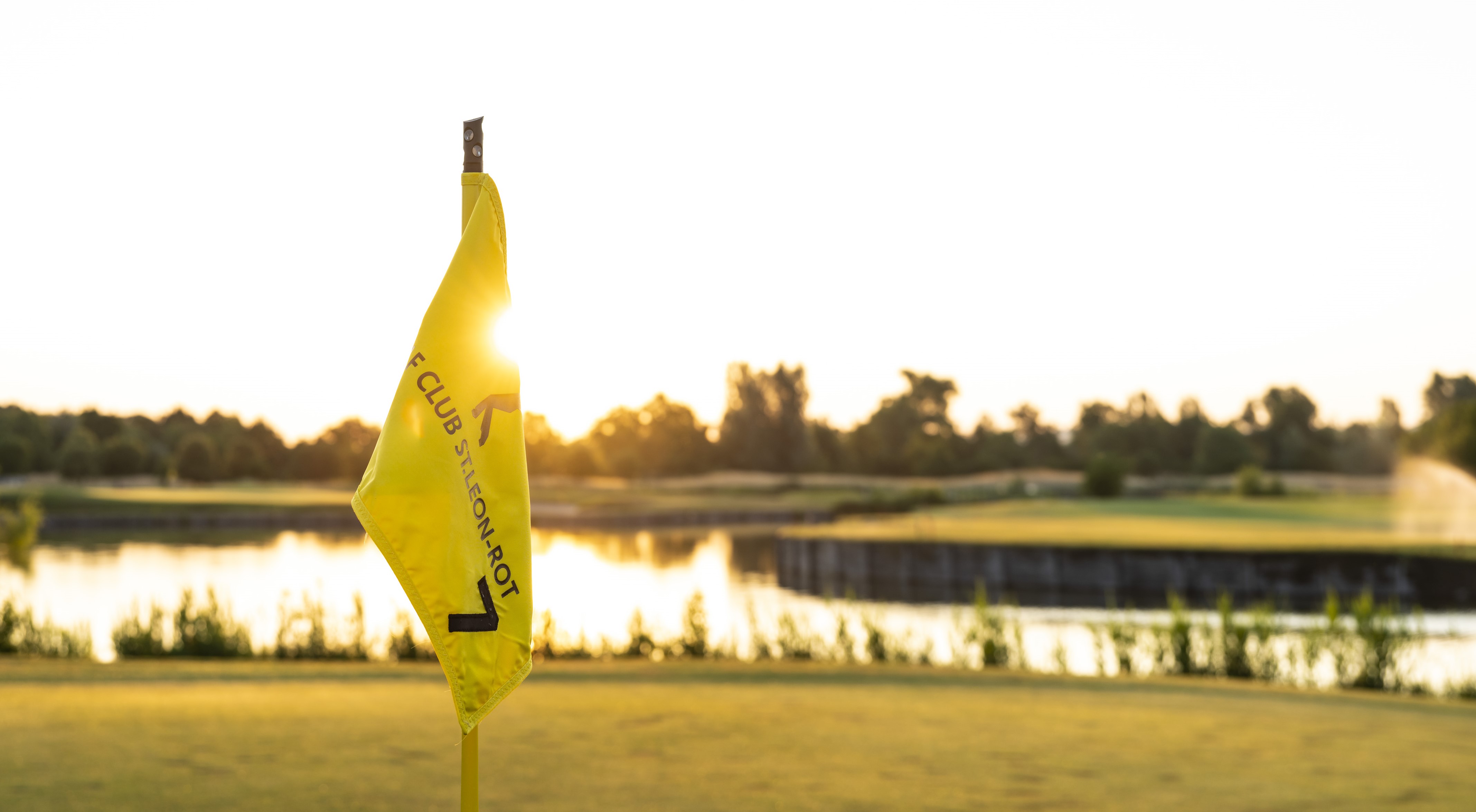 Maximilian von Borgstede